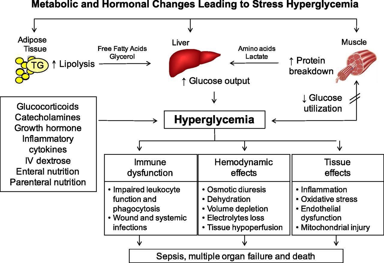 Dieta de cetosis hiperglucemia
